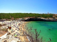 Lagoa Beaches